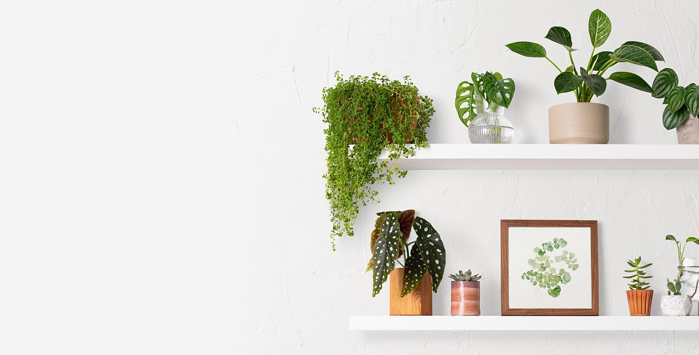 Image Slider